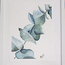 My project in Naturalist Illustrations with Watercolors: Drawing and Composition course. Un proyecto de Ilustración tradicional, Dibujo, Pintura a la acuarela e Ilustración naturalista				 de Adeline Neufeld - 26.05.2021