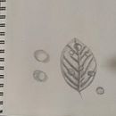 Mi Proyecto del curso: Dibujo para principiantes nivel -1. Projekt z dziedziny R, sunek ołówkiem,  R, sunek, Kreat, wne zabaw, z dziećmi i Sketchbook użytkownika Gabriel Santiago Tibaquirá Mora - 26.05.2021