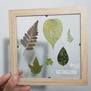 Mi Proyecto del curso: Técnicas básicas de prensado botánico. Un projet de Artisanat, Beaux Arts, Collage , et DIY de Camila Toledo - 26.05.2021