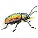 Bug - ink and watercolor. Un proyecto de Ilustración tradicional, Pintura y Bellas Artes de Mertens Guus - 18.12.2018
