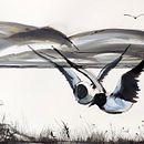 My project in Illustrating Nature: A Creative Exploration course. Un progetto di Illustrazione tradizionale, Pittura, Disegno, Pittura ad acquerello, Illustrazione con inchiostro e Illustrazione naturalistica di Judith Sutherland - 29.05.2021