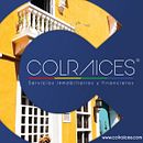 Mi Proyecto del curso: Copywriting: principios de la redacción publicitaria. Advertising, Marketing, Cop, writing, and Creativit project by Colraices - 05.29.2021
