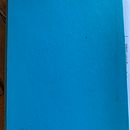 My project in Introduction to Illustrated Bullet Journaling course. Projekt z dziedziny Trad, c, jna ilustracja, Craft, T, pografia,  R, sunek,  R, sunek art, st, czn, R, sunek botaniczn, DIY,  Pismo dekorac i jne użytkownika Carla Paping - 31.05.2021