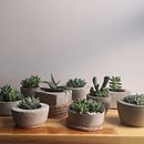 Macetas en concreto. Un projet de Artisanat, DIY, Design, Fabrication de mobilier, Design d'intérieur , et Décoration d'intérieur de Alexandra Granados - 01.06.2021