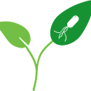 Mi Proyecto del curso: Creación de un logotipo original desde cero. Un progetto di Design, Br, ing, Br, identit, Graphic design e Design di loghi di Luis Fernando Flores López - 20.04.2021