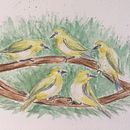 My project in Artistic Watercolor Techniques for Illustrating Birds course. Un proyecto de Ilustración tradicional, Pintura a la acuarela, Dibujo realista e Ilustración naturalista				 de Margaret Phillips - 02.06.2021