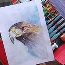 Acuarela artística para ilustración de aves. Mi Proyecto del curso Ein Projekt aus dem Bereich Traditionelle Illustration, Aquarellmalerei, Realistische Zeichnung und Naturalistische Illustration von Marcos Díaz - 05.06.2021