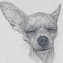 Meus projetos do curso: Retrato realista com lápis grafite Ein Projekt aus dem Bereich Traditionelle Illustration, Bildende Künste, Skizzenentwurf, Bleistiftzeichnung, Zeichnung, Porträtzeichnung, Realistische Zeichnung, Artistische Zeichnung und Anatomische Zeichnung von Débora de Oliveira Cintra e Silva - 17.05.2021