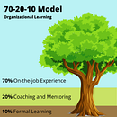 My project in Graphic Visualization: Telling Complex Stories through Simple Images course . Managementul designului, Design grafic, Proiectarea informațiilor, Marketing, Infografice și Comunicare de Dana Kosto Shohet - 06.04.2021