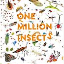 One Million Insects. Writing project by Isabel Thomas - 06.08.2021