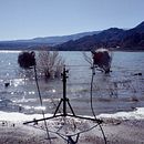 Field Recording. Sound Design project by Matteo Pagliarosi - 06.08.2021