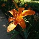 Mi Proyecto del curso: Fotografía de viajes y lifestyle . Fotografie, Fotografie în aer liber și Fotografii de stil de viață de Lorea López - 06.08.2021