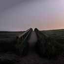 Mi Proyecto del curso: Teoría del color en fotografía Ein Projekt aus dem Bereich Fotografie, Fotoretuschierung, Digitalfotografie, Fotografische Komposition und Farbenlehre von Analía Pello - 09.06.2021