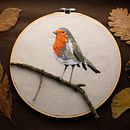 Pettirosso - @neneedle on instagram . Ilustrație tradițională și Broderie de Nene - 06.10.2021