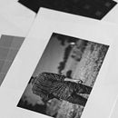 Mi Proyecto del curso: Fotografía en blanco y negro: revelado y retoque digital . % Hugo AM tarafından hazırlanan Fotoğrafçılık, Fotoğraf Rötuşlama, Dijital Fotoğrafçılık, Ve Film Fotoğrafçılığı projesi - 06.06.2021
