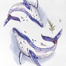 Brand new WWW - Wide Whales World. Traditional illustration, Drawing, Watercolor Painting, and Editorial Illustration project by Niuta Godlewska - 06.11.2021