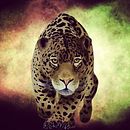 Meu projeto do curso: Ilustração naturalista de animais com Procreate. Un proyecto de Ilustración tradicional, Ilustración digital, Dibujo realista e Ilustración naturalista				 de Gabriel Albuquerque Barros - 11.06.2021