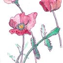 Flowers. Un progetto di Illustrazione tradizionale, Illustrazione con inchiostro e Pittura ad acquerello di Mark Swarthout - 13.06.2021