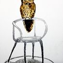Mi Proyecto del curso: Una lechuza parada en una silla. Een project van Traditionele illustratie, Aquarelschilderen, Realistische tekening y Naturalistische illustratie van Patricia de Buen - 13.06.2021