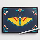 Butterfly Illustration. Un proyecto de Ilustración tradicional de Julia Dumas - 13.06.2021