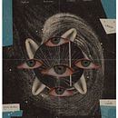 UNIVERSO. Collage project by María Fernanda Rallo - 06.14.2021