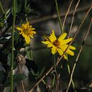 Mi Proyecto del curso: Fotografía para principiantes: descubre tu cámara digital. Projekt z dziedziny Fotografia, Fotografia cyfrowa i  Kompozycja w fotografii użytkownika Sofia Carella - 14.06.2021