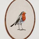 Mi Proyecto del curso: Pintar con hilo: técnicas de ilustración textil. Un projet de Illustration traditionnelle , et Broderie de emily_nicole_onell - 13.06.2021
