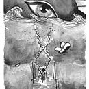 Mi Proyecto del curso: Ilustración en tinta china con influencia japonesa . % Corina Olivo tarafından hazırlanan Geleneksel illüstras, on, Çizim, Mürekkep İllüstras, Ve onu projesi - 06.14.2021