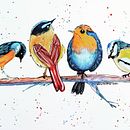 Meu projeto do curso: Técnicas expressivas de aquarela para ilustração de pássaros . Ilustrasi tradisional, Lukisan Cat Air, Gambar Realistis & Ilustrasi Naturalistik proyek oleh Sílvia Condeças - 06.19.2021