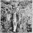 Cascata da usina. Un proyecto de Ilustración tradicional, Dibujo e Ilustración naturalista				 de Monique da Costa Bruxel - 21.10.2020