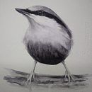 Estudo tonal (aquarela e grafite). Traditional illustration project by Lindsay Korth - 06.22.2021