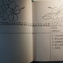 Mis Notas. Een project van  Ontwerp van Ana Vargas - 23.06.2021