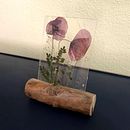 Mi Proyecto del curso: Técnicas básicas de prensado botánico. Un progetto di Artigianato, Belle arti, Collage e DIY di carnavbe - 15.06.2021