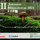 Muestra diseño multimedia. Un proyecto de Publicidad, Diseño, Diseño gráfico y Marketing de Daniel Coloma - 25.06.2021