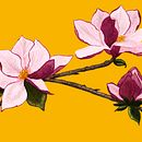 Meu projeto do curso: Ilustração botânica com aquarela . % daniifreier tarafından hazırlanan Geleneksel illüstras, on, Güzel sanatlar, Tablo, Çizim, Sulubo, a Resim, Botanik İllüstras, Ve on projesi - 06.25.2021