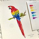 Mi Proyecto del curso: Ilustración naturalista de aves con acuarela . % natalydelgado63 tarafından hazırlanan Geleneksel illüstras, on, Sulubo, a Resim, Gerçekçi Çizim, Doğalcı İllüstras, Ve on projesi - 06.25.2021