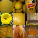 AMARILLO. Un proyecto de Fotografía de Osiris Gonzalez - 26.06.2021