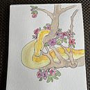 Mi Proyecto del curso: Técnicas experimentales de acuarela para principiantes . Un proyecto de Ilustración tradicional, Bellas Artes, Pintura a la acuarela e Ilustración naturalista				 de Katherine Medina Oliva - 27.06.2021