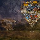 My project in Magical Photomontage in Photoshop: Creating Visual Metaphors course. Un progetto di Postproduzione fotografica, Ritocco fotografico, Fotografia digitale, Composizione fotografica e Fotomontaggio di kamalsahansi - 27.06.2021