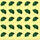 Patterns: 2 - Ginkgo Leaves  . Design, Ilustração tradicional, Fotografia, Design gráfico, Pattern Design, Criatividade, Ilustração digital, Estampagem, Fotografia digital, e Design digital projeto de katerina_valiath - 29.06.2021