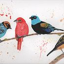 Mi Proyecto del curso: Acuarela artística para ilustración de aves. Ilustração tradicional, Pintura em aquarela, Desenho realista e Ilustração naturalista projeto de Katherine Moreno - 01.07.2021