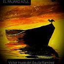 EL PÁJARO AZUL. Un proyecto de Cine, vídeo, televisión, Escritura, Cine, Realización audiovisual, Guion y Narrativa de Victor Hugo Del Aguila Ramirez - 29.06.2021