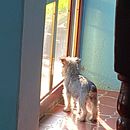 Pablo Turja . Acara proyek oleh Pablo César Rojas Jacobo - 07.01.2021