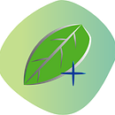 Hojita y símbolo +. Projekt z dziedziny Projektowanie graficzne użytkownika Samil Moret - 17.02.2021