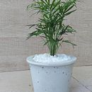 Meu projeto do curso: Criação de móveis com concreto para principiantes. Un progetto di Artigianato, Design e creazione di mobili, Interior design, Interior Design e DIY di Denise Duarte de Oliveira - 06.07.2021