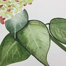Glimpse From Recent Art Journey Portfolio  . Caligrafia, Ilustração botânica, Pintura em aquarela, e Desenho a lápis projeto de Lou Tedder - 06.07.2021