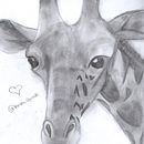 JIRAFA(≧∇≦)ﾉ. Desenho a lápis projeto de kendra chalco - 06.07.2021