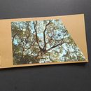 My project in Handmade Binding without Stitches course . % Paula Swenson tarafından hazırlanan Sanat ve El Sanatları, Güzel sanatlar, Ciltçilik, Ve Kendin Yap projesi - 07.07.2021