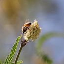 Mis Fotos  . Un proyecto de Fotografía de Sebastián Pérez Meillón - 08.07.2021