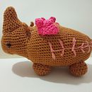 Mi Proyecto del curso: Diseño y creación de amigurumis. Projekt z dziedziny Craft, Projektowanie zabawek,  Tkactwo, DIY, Sz i dełkowanie użytkownika Katiuska Segnini - 08.07.1995